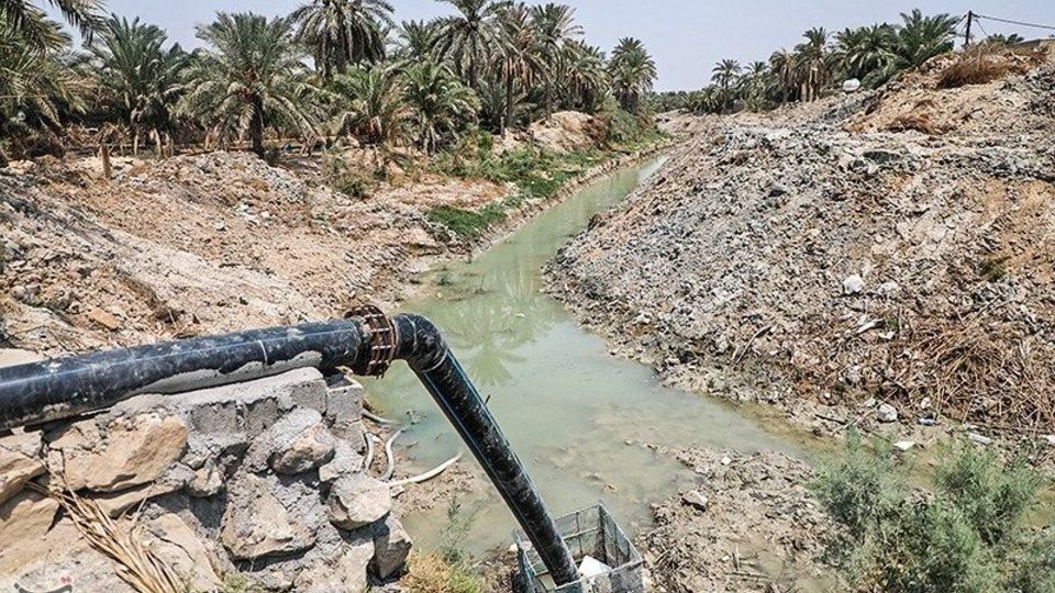 بازگشت زندگی به نخلستان‌های خوزستان