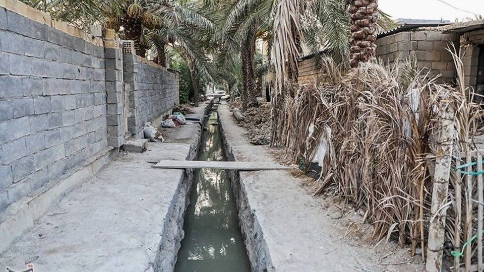 بازگشت زندگی به نخلستان‌های خوزستان