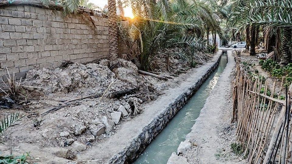 بازگشت زندگی به نخلستان‌های خوزستان