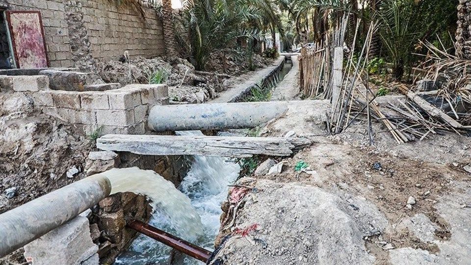 بازگشت زندگی به نخلستان‌های خوزستان