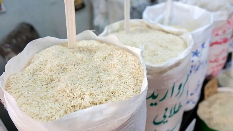 برنج بالاخره تسلیم شد برنج بالاخره تسلیم شد