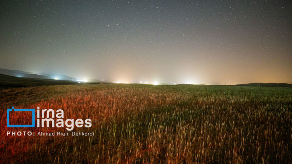 بارش شهابی برساوشی