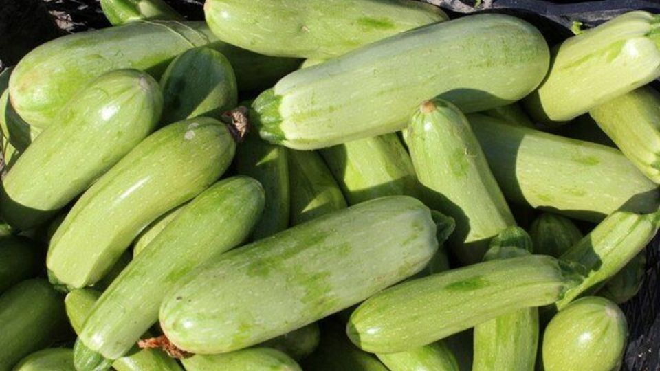 یک خوردنی مفید برای کاهش نفخ یک خوردنی مفید برای کاهش نفخ