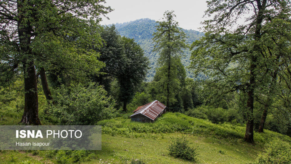 روستای «اِسپِرِز» سوادکوه بر فراز ابرها