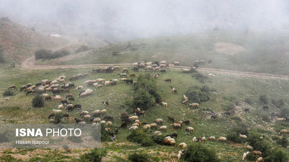 روستای «اِسپِرِز» سوادکوه بر فراز ابرها