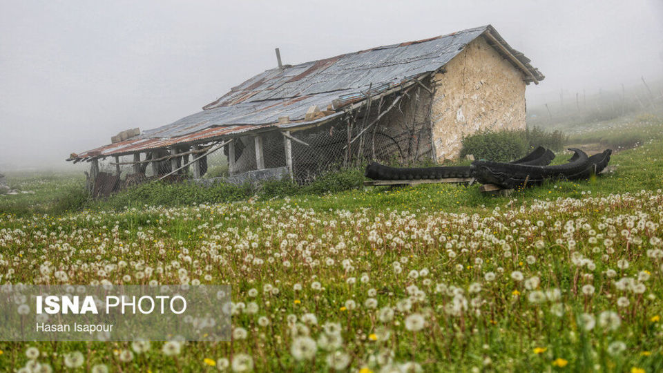 روستای «اِسپِرِز» سوادکوه بر فراز ابرها