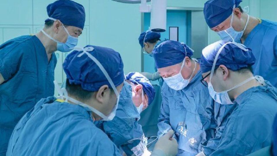 پیوند ریه خوک به انسان برای اولین بار در جهان پیوند ریه خوک به انسان برای اولین بار در جهان