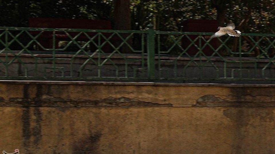 خشک شدن چشمه علی شهر ری