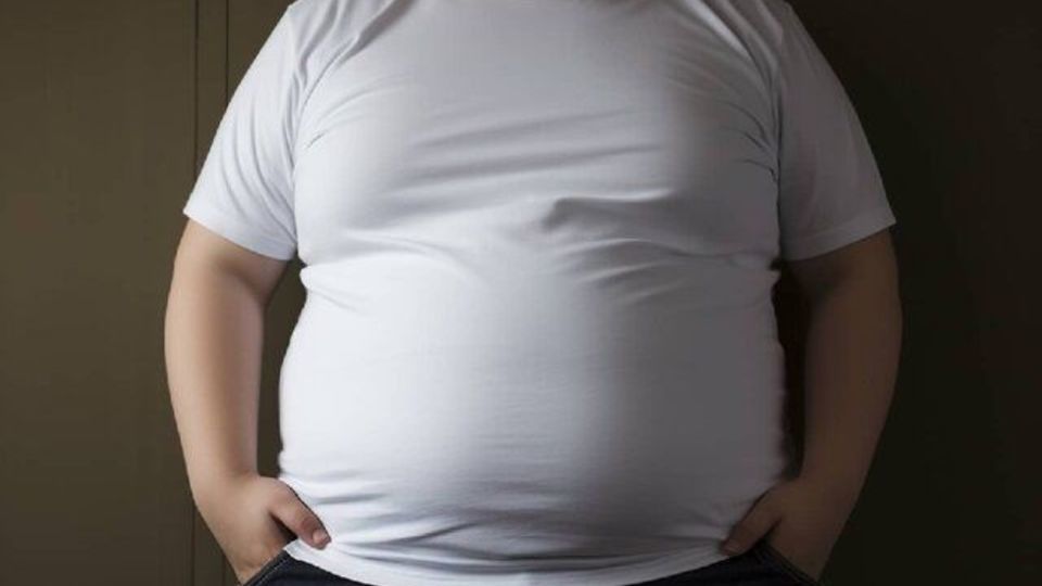 محل تجمع چربی در بدن بر سن قلب اثر میگذارد محل تجمع چربی در بدن بر سن قلب اثر میگذارد