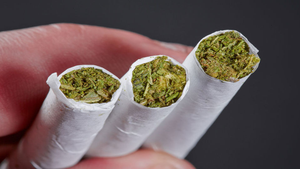 آژیر قرمز مخدر سبز در ایران/ «گل»؛ مخدری که تهران را بلعیده، میانکاله را به آتش کشیده و الیگودرز را قرق کرده است ! آژیر قرمز مخدر سبز در ایران/ «گل»؛ مخدری که تهران را بلعیده، میانکاله را به آتش کشیده و الیگودرز را قرق کرده است !