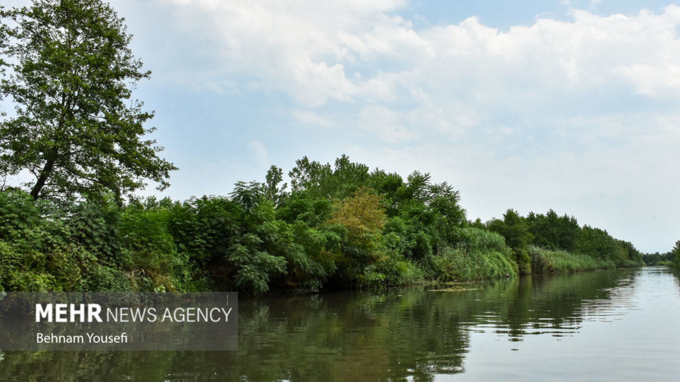 تالاب انزلی؛ چشم‌اندازی تماشایی از طبیعت شمال ایران