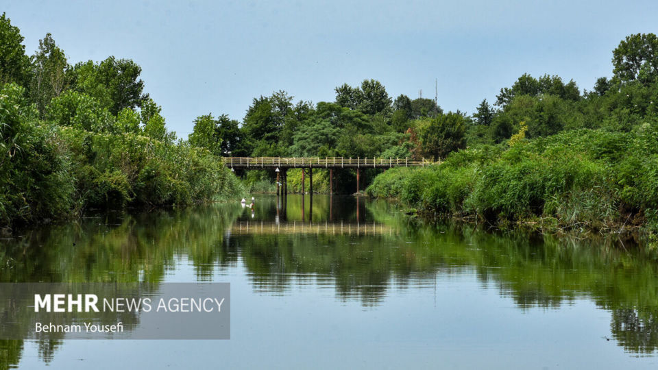 تالاب انزلی؛ چشم‌اندازی تماشایی از طبیعت شمال ایران