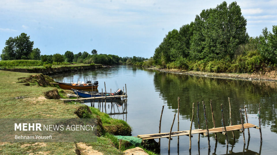 تالاب انزلی؛ چشم‌اندازی تماشایی از طبیعت شمال ایران