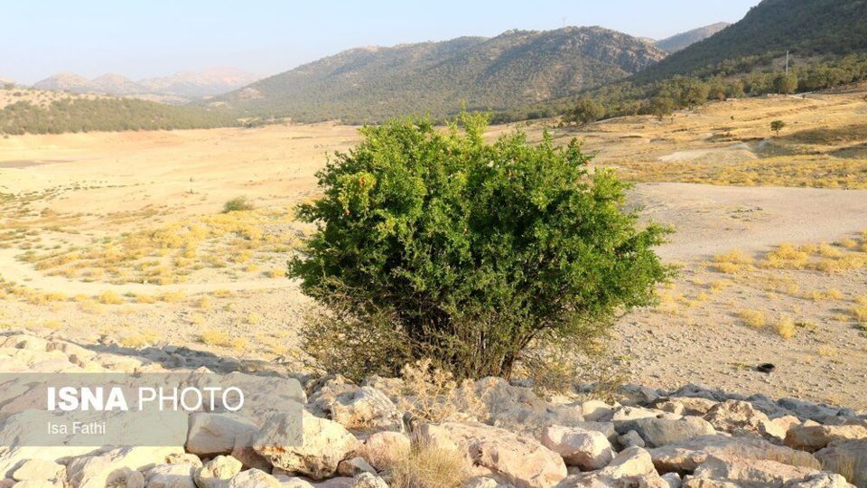 خشک شدن سد شاه قاسم - یاسوج