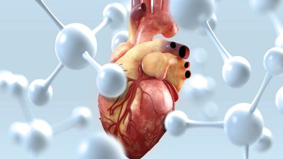 سن سکته قلبی در ایران ۱۰ سال زودتر از اروپا سن سکته قلبی در ایران ۱۰ سال زودتر از اروپا