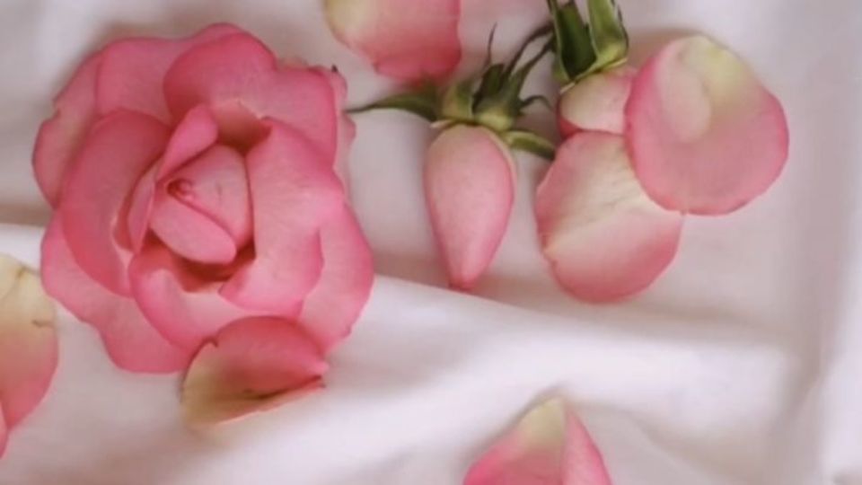 بر چشم جهان فروغ سرمد آید بر چشم جهان فروغ سرمد آید