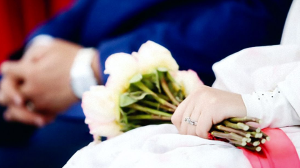 "شوگرددی" گردی! "شوگرددی" گردی!