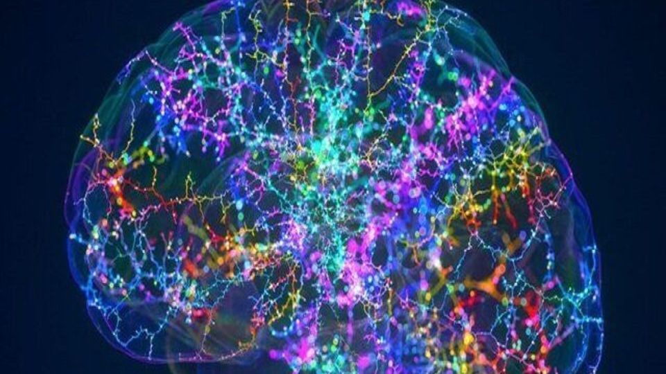 دستاورد جدید دانشمندان آکسفورد و UCL ، تحولی در درمان پارکینسون دستاورد جدید دانشمندان آکسفورد و UCL ، تحولی در درمان پارکینسون