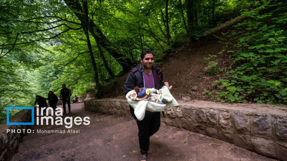 در پناه طبیعت