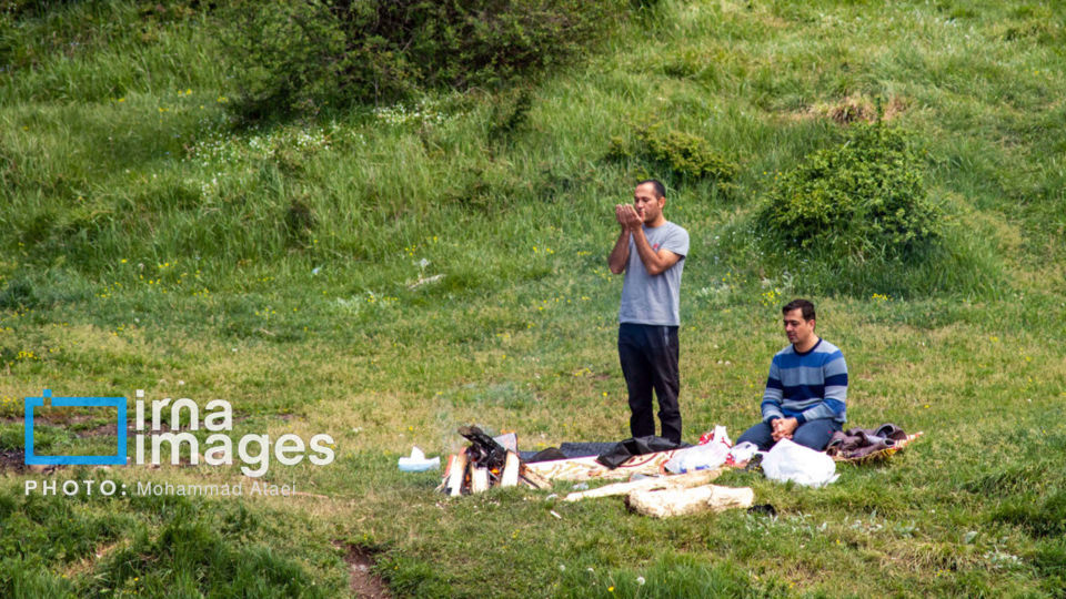 در پناه طبیعت