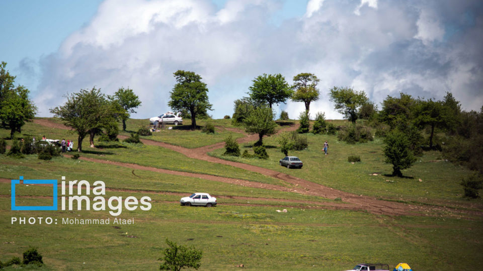 در پناه طبیعت