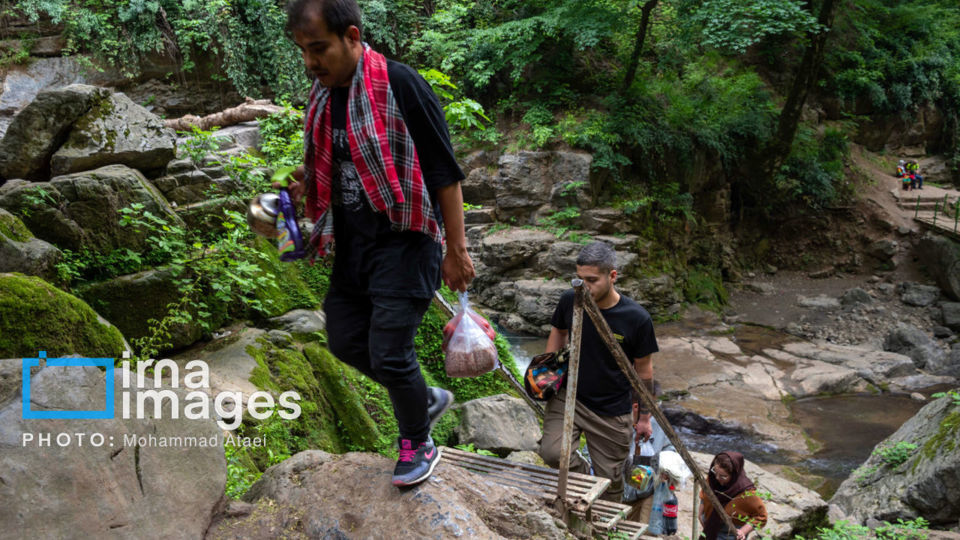 در پناه طبیعت