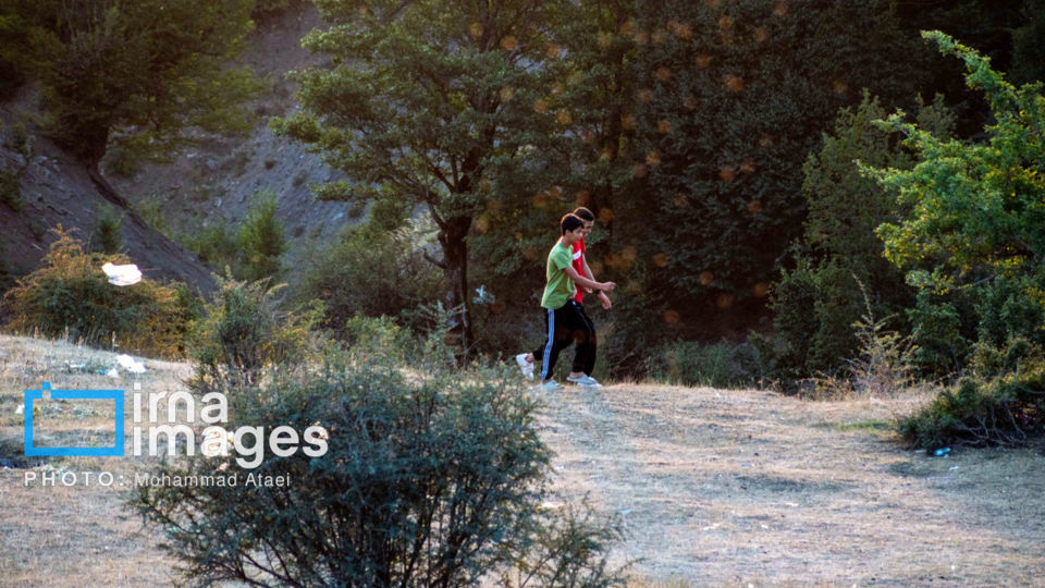 در پناه طبیعت