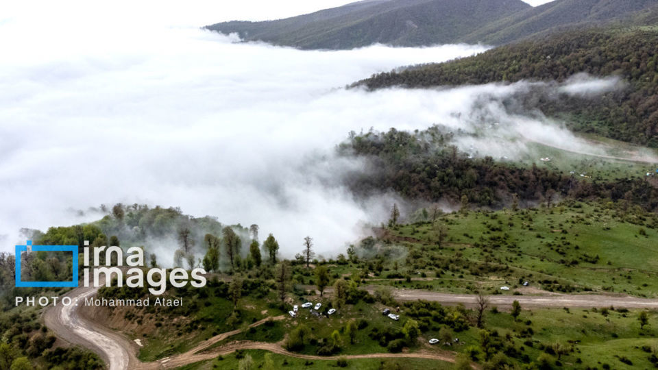 در پناه طبیعت