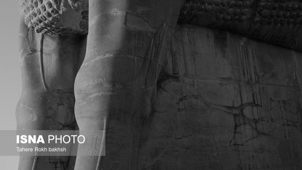 سیاه و سفید یک محوطه جهانی