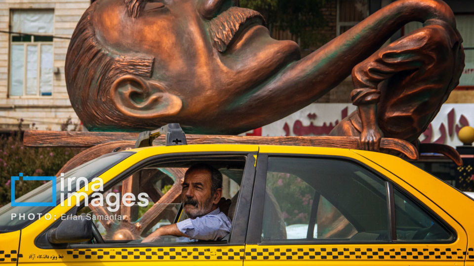 برداشت انگور در شهر تاکستان قزوین