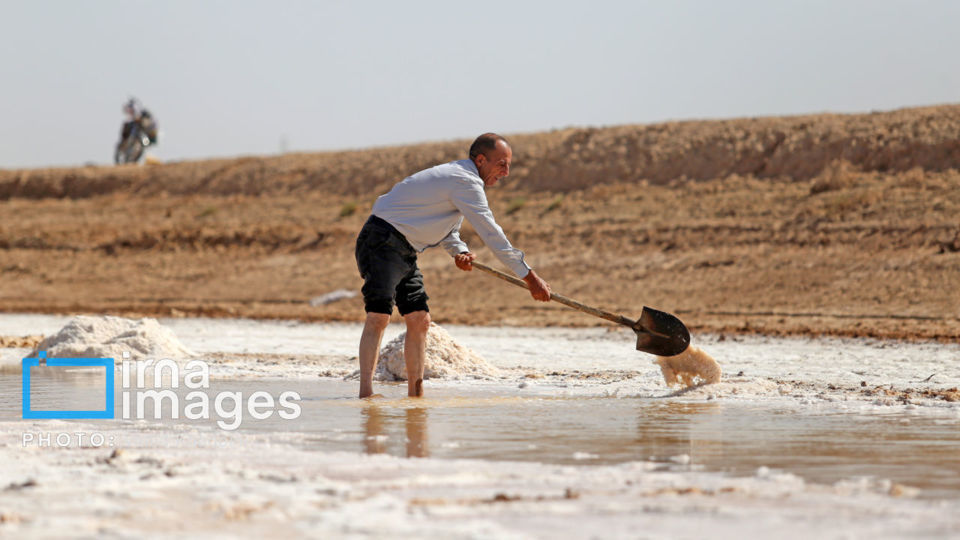 برداشت نمک در دل کویر برداشت نمک در دل کویر