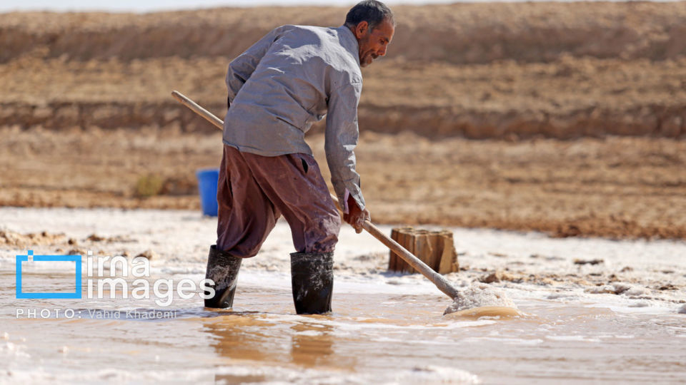 برداشت نمک در دل کویر برداشت نمک در دل کویر