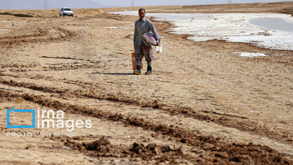 برداشت نمک در دل کویر برداشت نمک در دل کویر