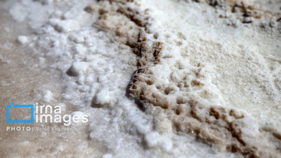 برداشت نمک در دل کویر برداشت نمک در دل کویر