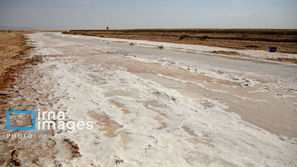 برداشت نمک در دل کویر برداشت نمک در دل کویر