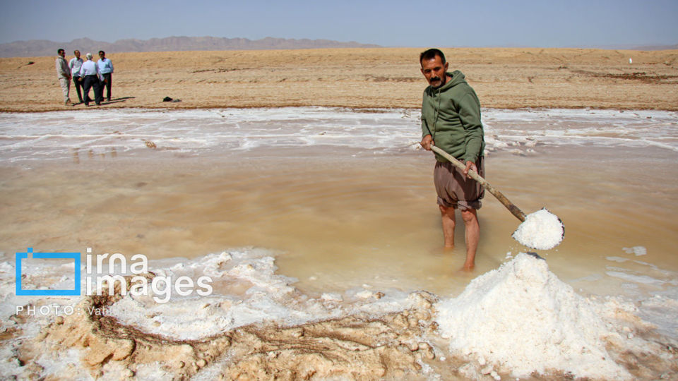 برداشت نمک در دل کویر برداشت نمک در دل کویر