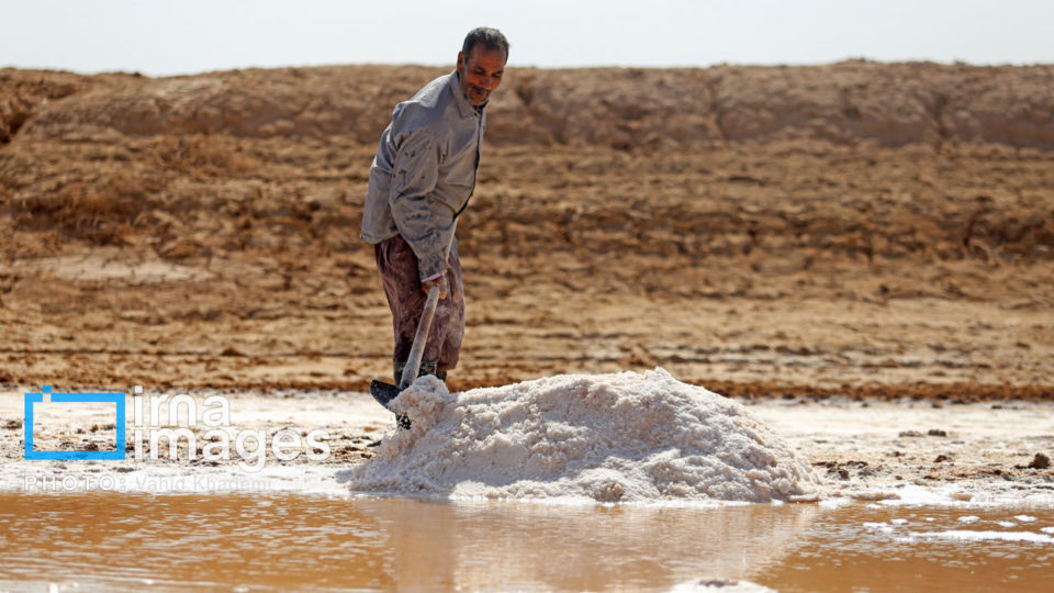 برداشت نمک در دل کویر برداشت نمک در دل کویر