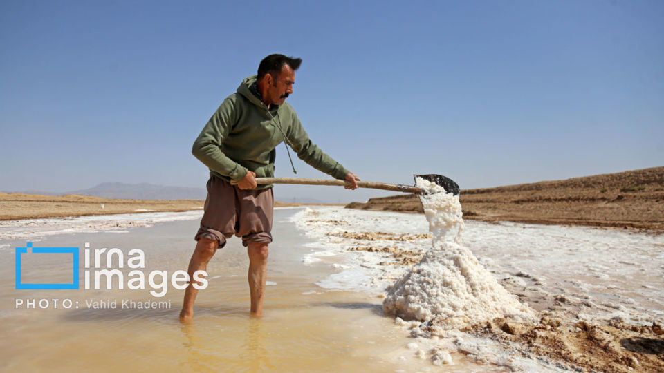 برداشت نمک در دل کویر برداشت نمک در دل کویر