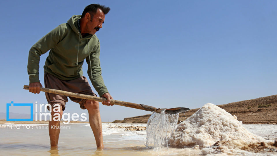 برداشت نمک در دل کویر برداشت نمک در دل کویر