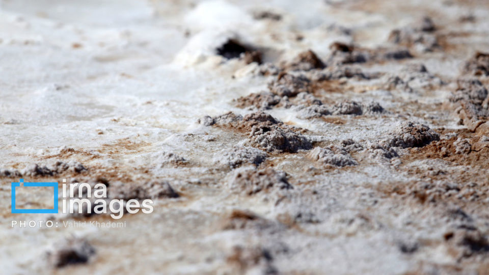 برداشت نمک در دل کویر برداشت نمک در دل کویر