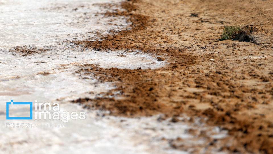 برداشت نمک در دل کویر برداشت نمک در دل کویر