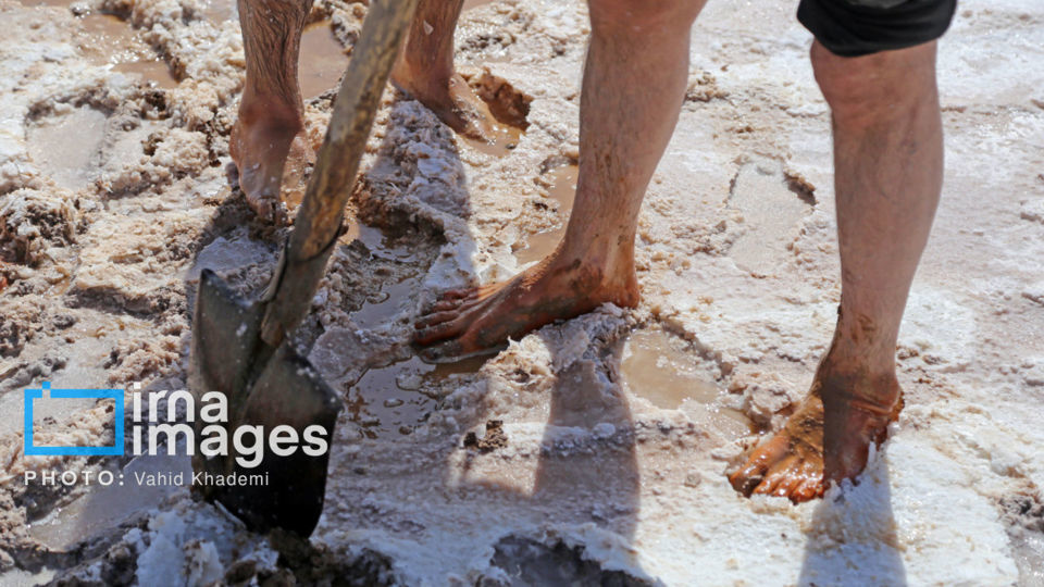 برداشت نمک در دل کویر برداشت نمک در دل کویر