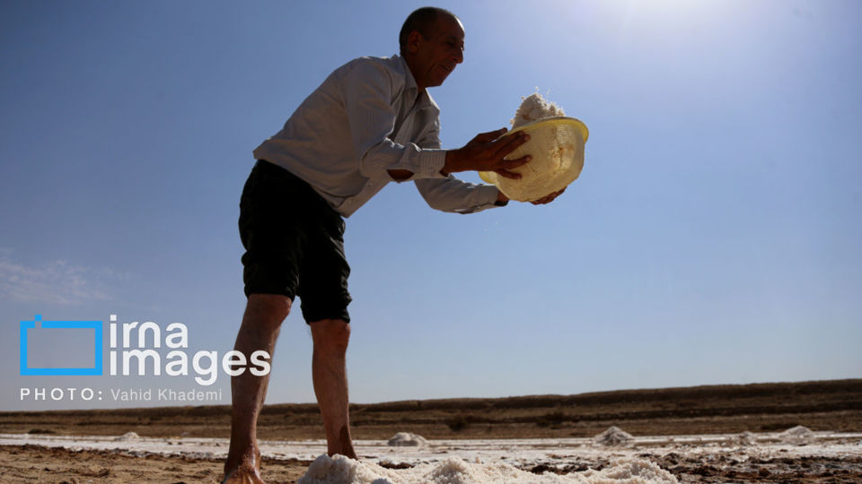 برداشت نمک در دل کویر برداشت نمک در دل کویر