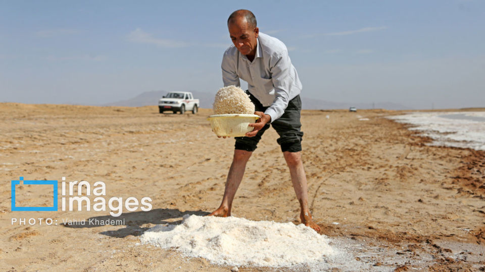 برداشت نمک در دل کویر برداشت نمک در دل کویر