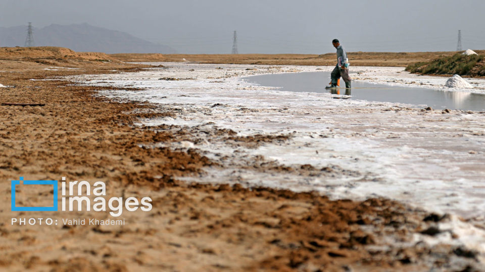 برداشت نمک در دل کویر برداشت نمک در دل کویر