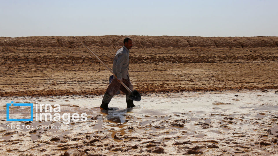 برداشت نمک در دل کویر برداشت نمک در دل کویر