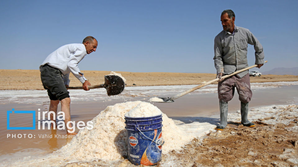 برداشت نمک در دل کویر برداشت نمک در دل کویر