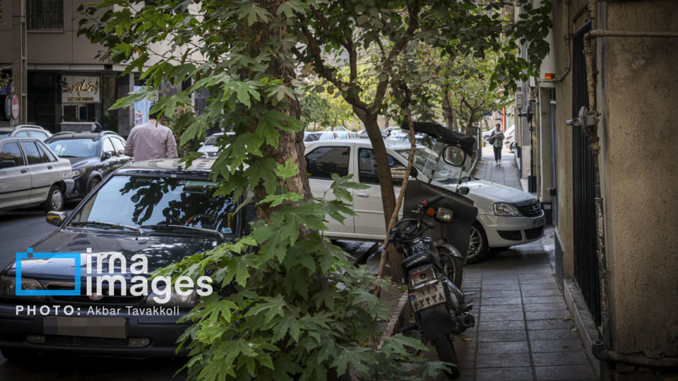 تهران؛ شهر رانندگان متخلف یا مجبور؟