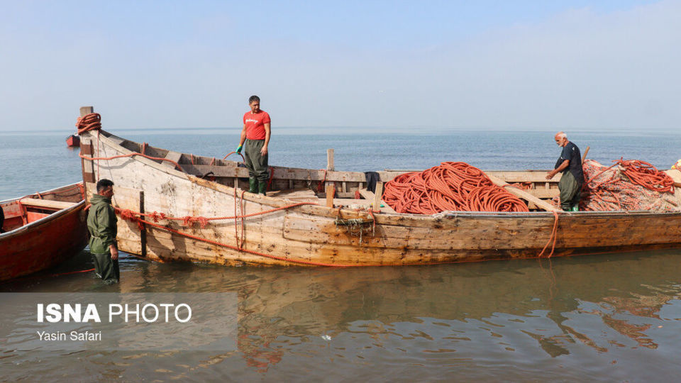 صید پره؛ سنت دیرین صیادان خزر