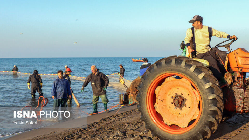 صید پره؛ سنت دیرین صیادان خزر